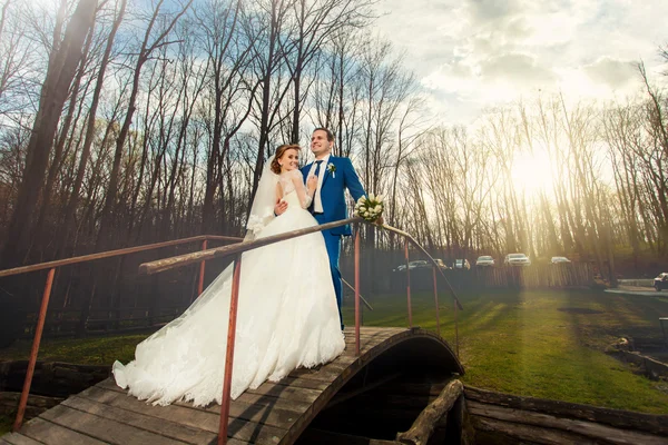 Svatební pár na mostě v lese — Stock fotografie