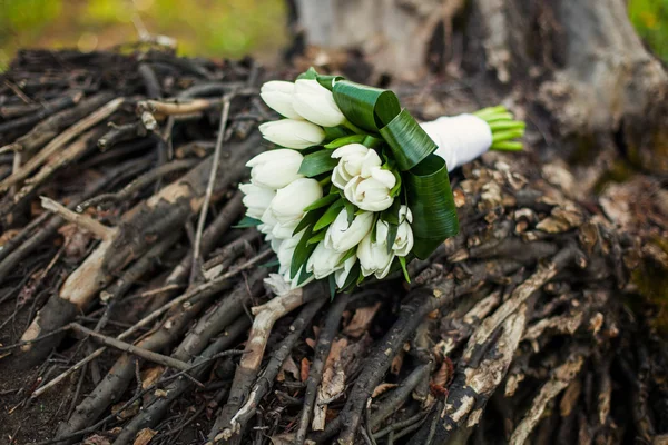 Bouquet di tulipano matrimonio — Foto Stock