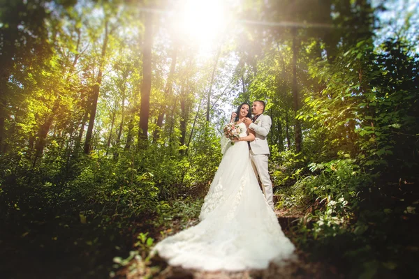Casal de casamento de beleza na floresta — Fotografia de Stock