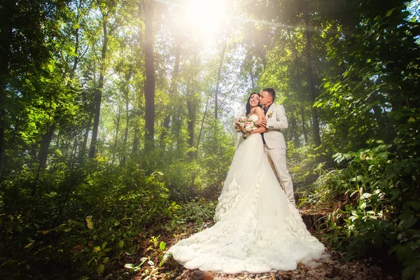 Belleza boda pareja en el bosque —  Fotos de Stock