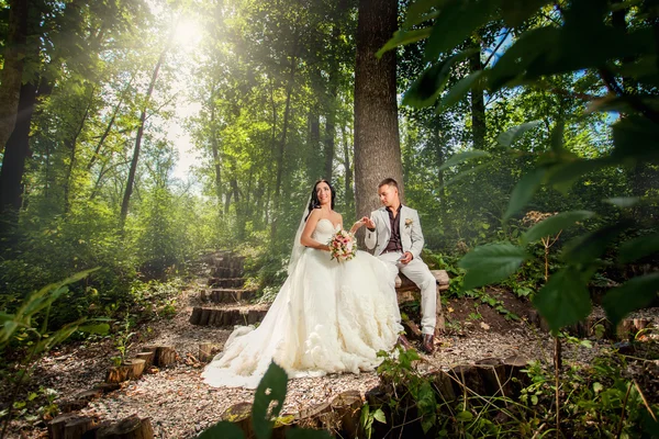 Casal de casamento de beleza na floresta — Fotografia de Stock