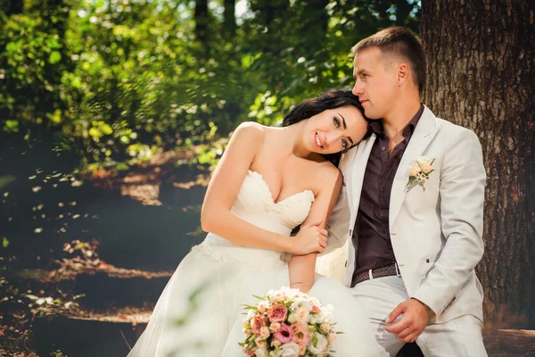 Casal de casamento de beleza na floresta — Fotografia de Stock