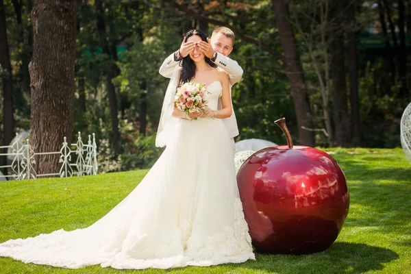 Boda pareja de novio y novia —  Fotos de Stock