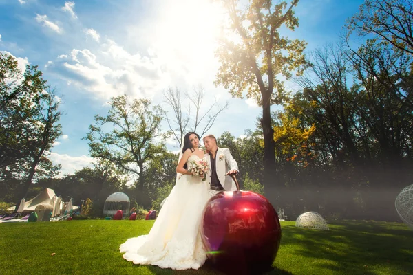 Bröllop par brudgummen och bruden — Stockfoto