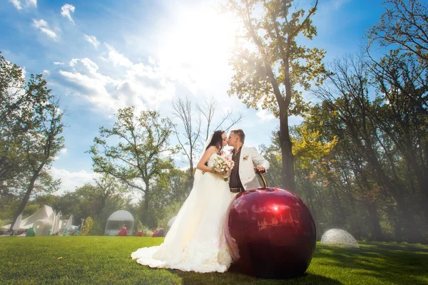 Bröllop par brudgummen och bruden — Stockfoto