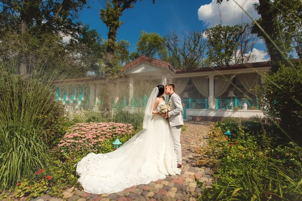 Pareja de boda en el parque —  Fotos de Stock