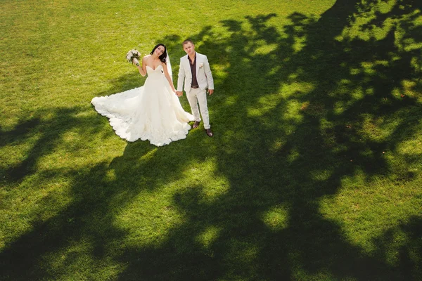 Casal de casamento no parque — Fotografia de Stock