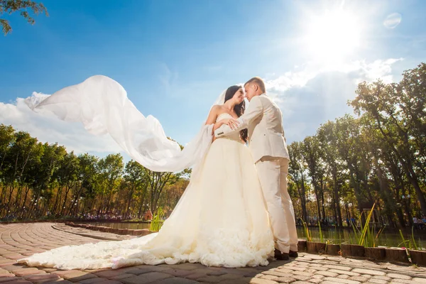 Casal de casamento no parque — Fotografia de Stock