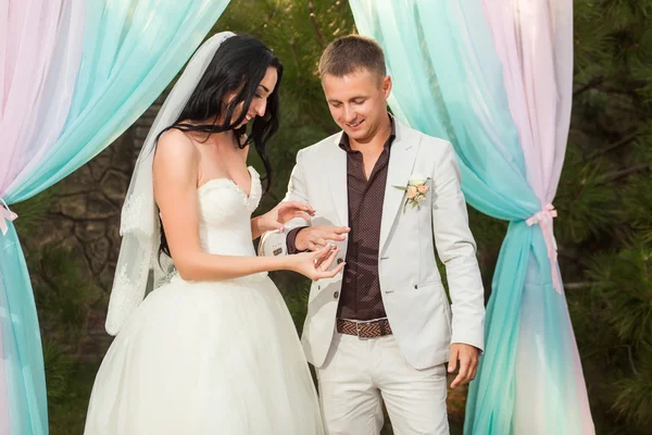 Novia y novio usan anillos —  Fotos de Stock
