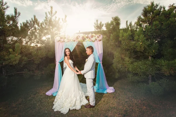 Novia y novio usan anillos —  Fotos de Stock