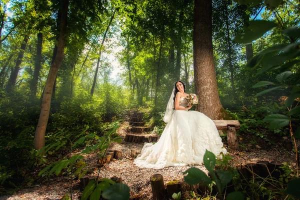 Noiva em vestido de noiva na floresta — Fotografia de Stock