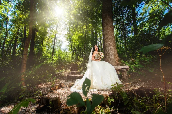 Noiva em vestido de noiva na floresta — Fotografia de Stock