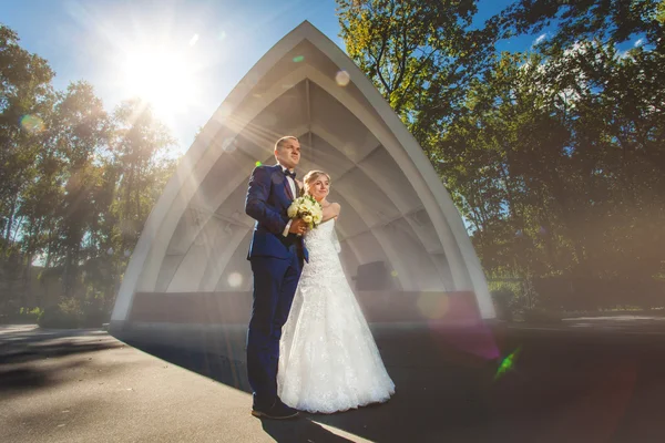 Casamento casal no parque perto do pavilhão — Fotografia de Stock