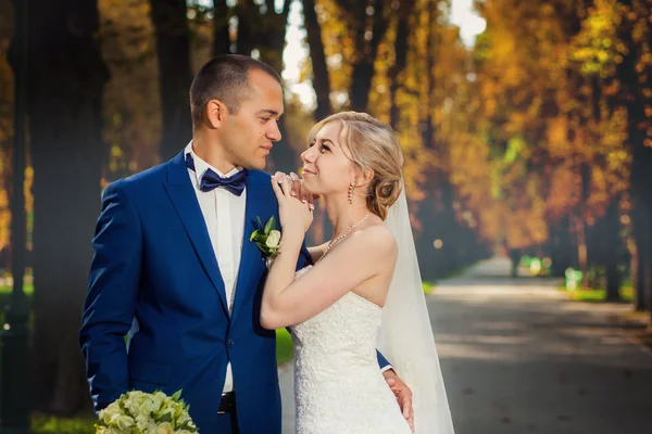 Menyasszony vőlegény parkban nézi — Stock Fotó