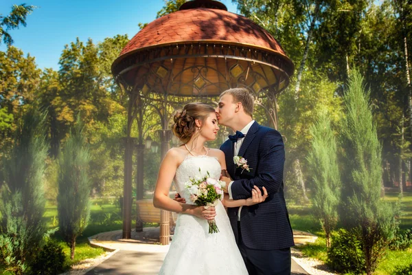 Noivo beijando noiva perto de pavillion no parque — Fotografia de Stock