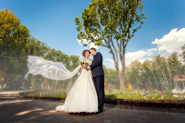 Bride with veil and groom in park — Stock Photo, Image