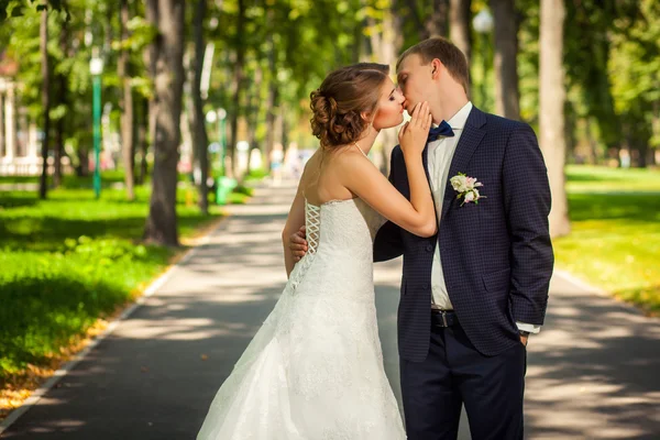 Свадебная пара целуется в парке — стоковое фото