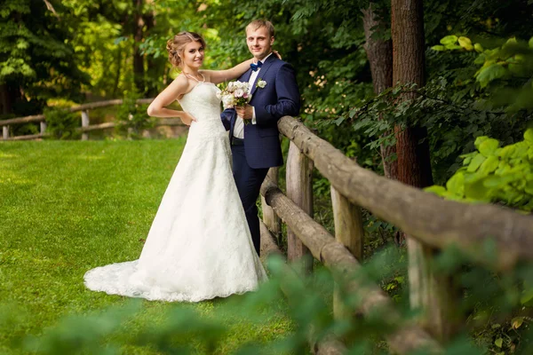 Dvojice stojící poblíž živého plotu v lese — Stock fotografie