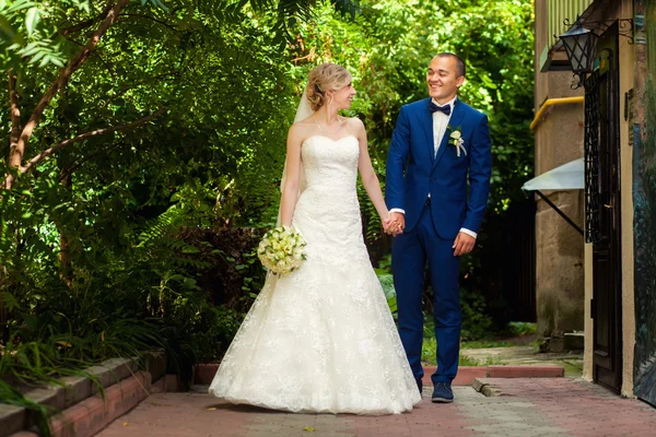 Bruden och brudgummen hand i hand i parken — Stockfoto