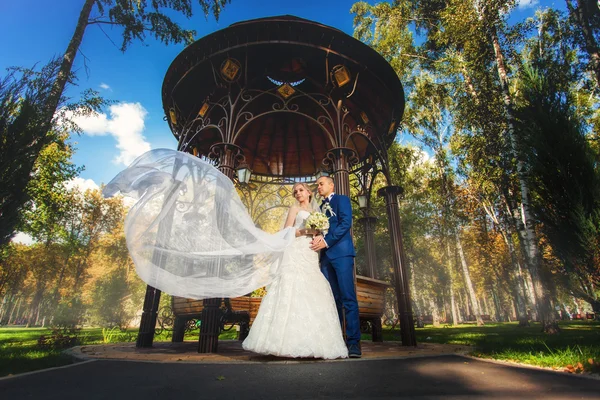 Hochzeitspaar in Park nahe Laube — Stockfoto