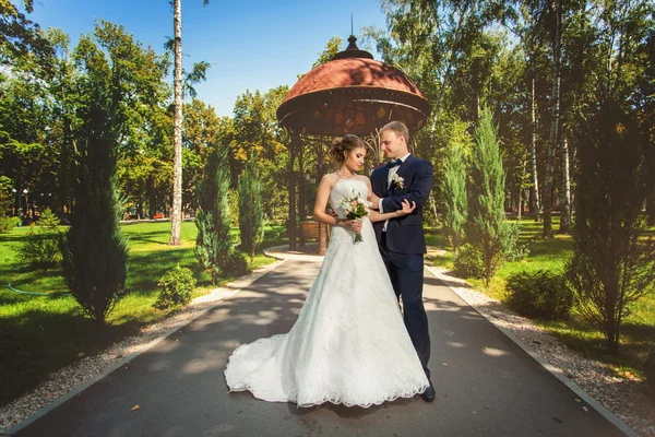 Pareja de boda en el parque cerca del cenador —  Fotos de Stock