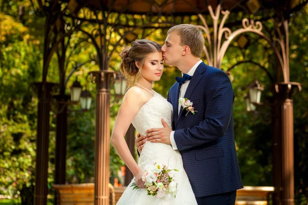 Brudgummen kyssa bruden nära arbor i park — Stockfoto