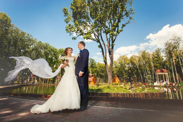 Bride with flowing veil and groom in park — Stock Photo, Image