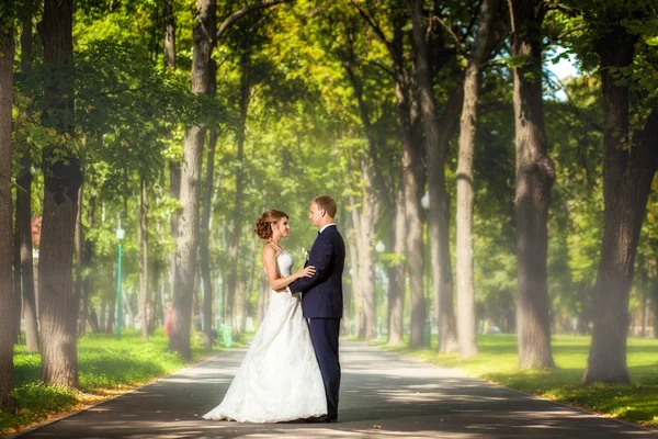 Весільна пара тримає один одного в парку — стокове фото