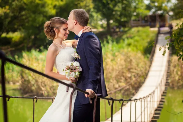 Ženich líbat nevěsty na dřevěný most — Stock fotografie