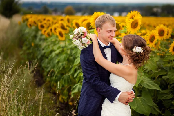 Красива весільна пара в соняшниках — стокове фото
