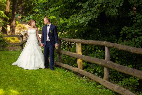 Pareja de boda en bosque cerca de valla — Foto de Stock