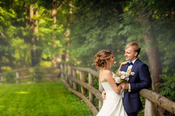 Nevěsta a ženich v blízkosti zajištění v lese — Stock fotografie