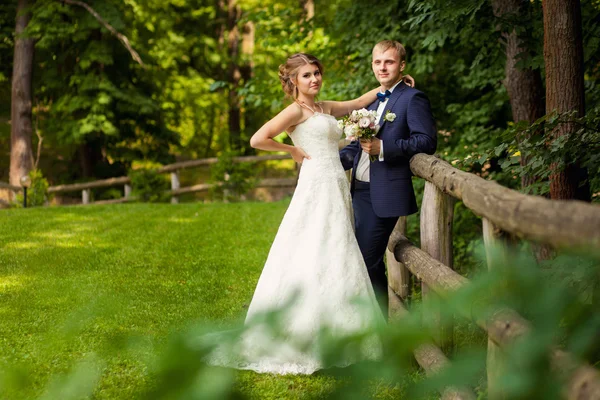 Весільна пара в літньому дереві біля паркану — стокове фото
