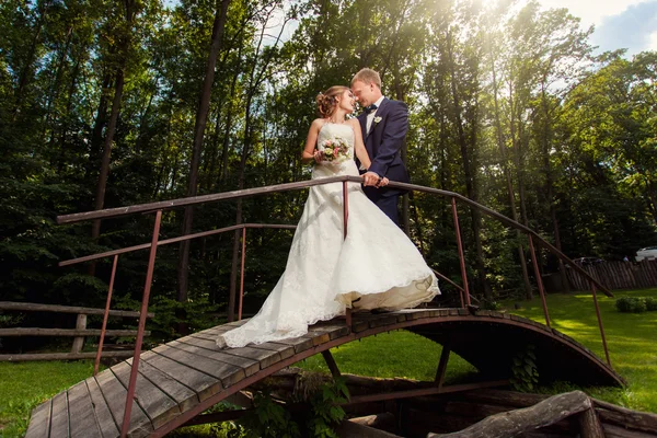 Beijando casal na ponte na floresta — Fotografia de Stock
