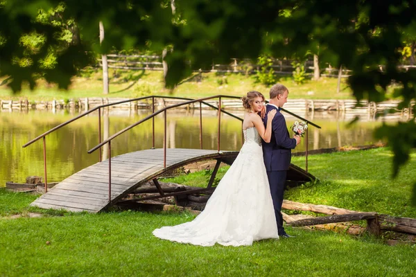 Pareja de boda cerca de puente en bosque — Foto de Stock