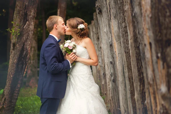 Наречена і наречений цілуються біля паркану — стокове фото