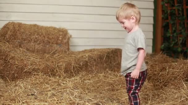 Gracioso niño recogiendo paja y lanzándola — Vídeos de Stock