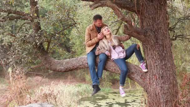 Pareja enamorada sentada en un gran árbol viejo — Vídeos de Stock