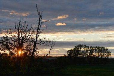 Kırsaldaki yapraksız ağaç siluetinin içinden yıldız patlaması ışınlarıyla gün doğumu.