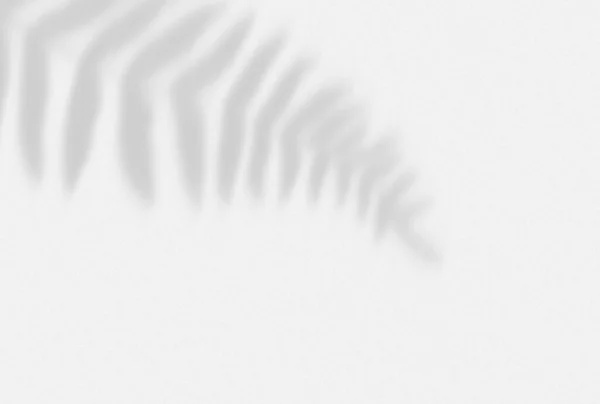 Açık gri vektör soyut bulanık desen. Renkli soyut çizim ve gradyan. İş tasarımınız için en iyi yöntem.