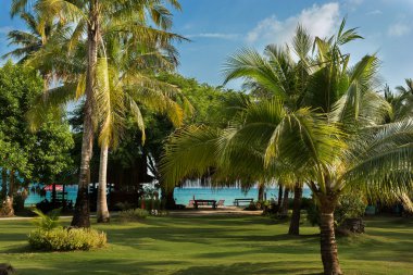 Güzel bir tropik adada yer