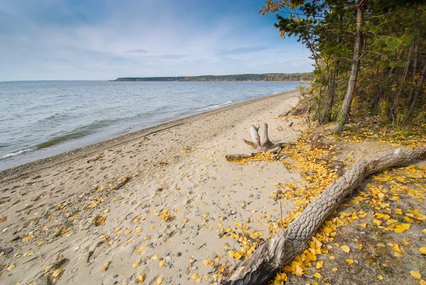 Sonbahar sahilde — Stok fotoğraf