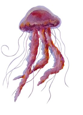 Pembe suluboya çizimde deniz anası.