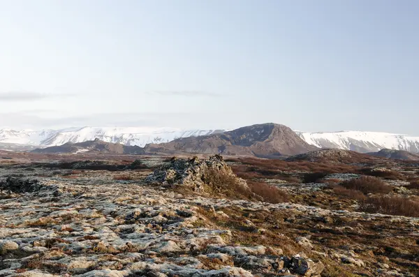 İzlanda volkanik manzara bahar 
