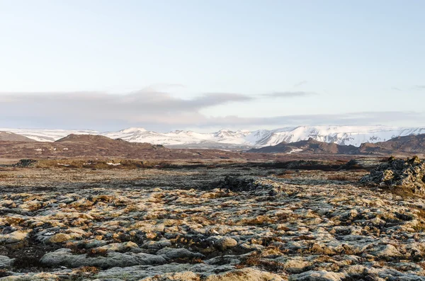 İzlanda volkanik manzara bahar 