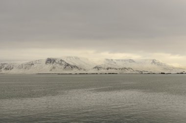 Reykjavik liman