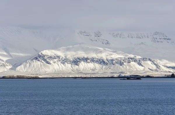 Hamnen i Reykjavik — Stockfoto
