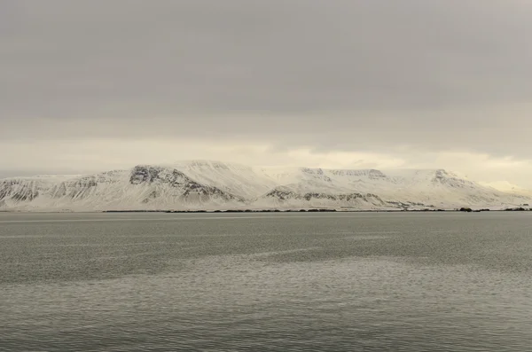 Porto di Reykjavik — Foto Stock