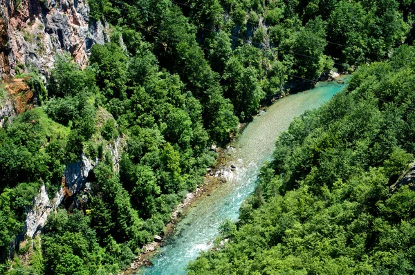 Veduta del canyon del fiume Tara in Montenegro — Foto Stock