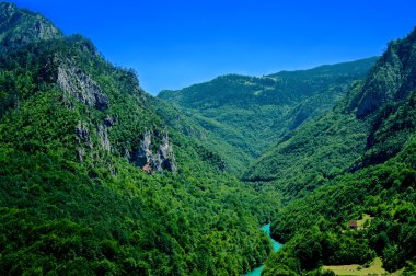 Viow tara kanyonun Karadağ